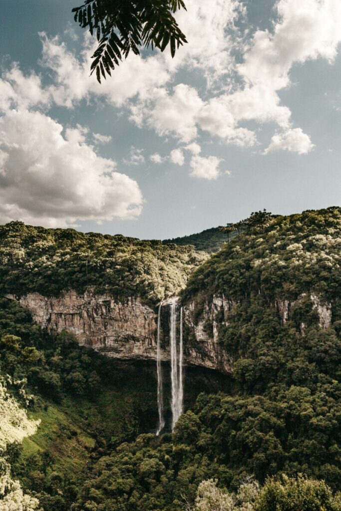 BRASIL