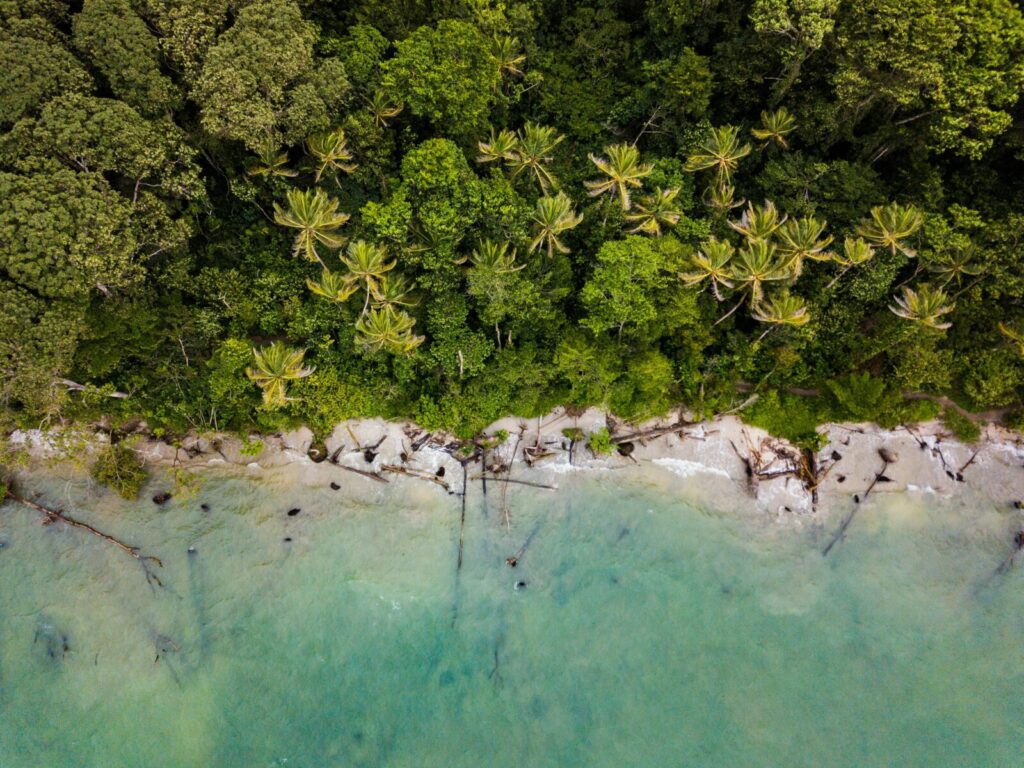 Blog and experiences 33 berti benbanaste 2hkDhGEZVBg unsplash