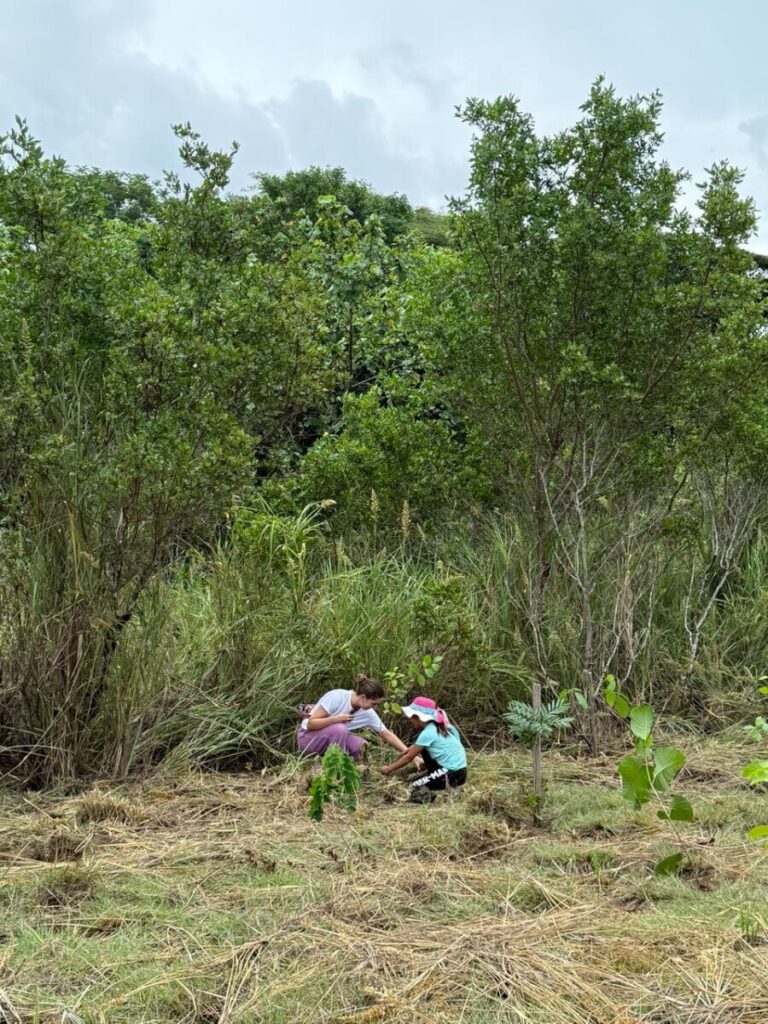 REFORESTATION 1 WhatsApp Image 2025 08 20 at 13.04.53