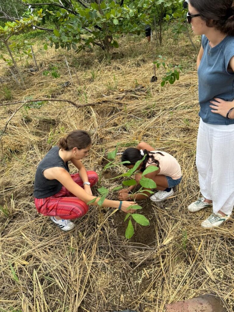 REFORESTATION 3 WhatsApp Image 2025 08 20 at 13.04.54 1