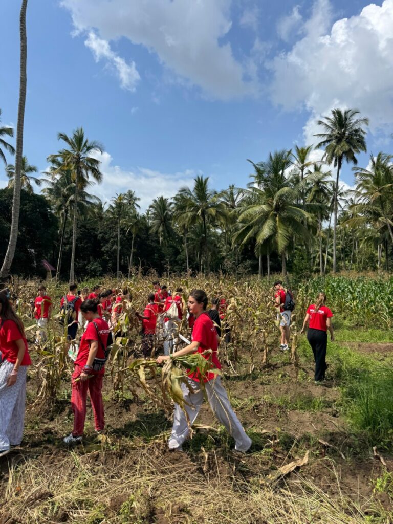 THIS IS NOT JUST A TRIP 2 da211916 b075 4c3c 9b3b e70e3ecdd3bc